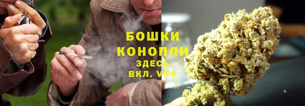 мдпв Артём